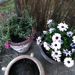 La Tulipe Perigourdine Casa de hóspedes