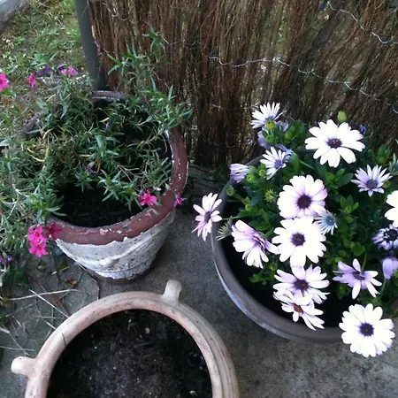 La Tulipe Perigourdine فندق مبيت وإفطار