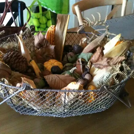 بيت ضيافة La Tulipe Perigourdine