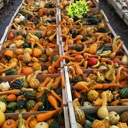 بيت ضيافة La Tulipe Perigourdine 3*