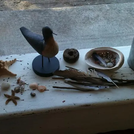 فندق مبيت وإفطار La Tulipe Perigourdine Le Buisson-de-Cadouin