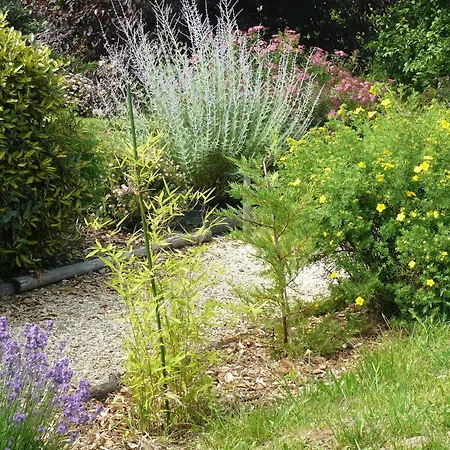 ベッド・アンド・ブレックファスト La Tulipe Perigourdine *