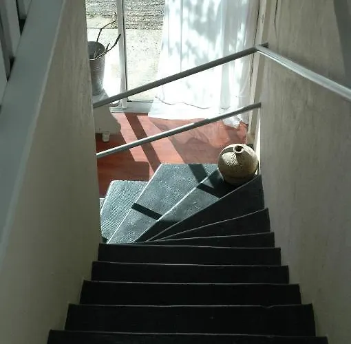 La Tulipe Perigourdine