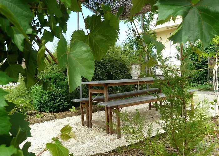 La Tulipe Perigourdine *