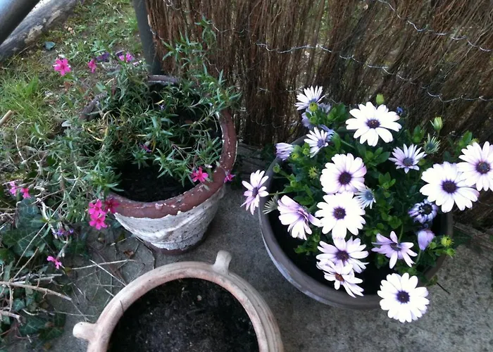 La Tulipe Perigourdine Panzió