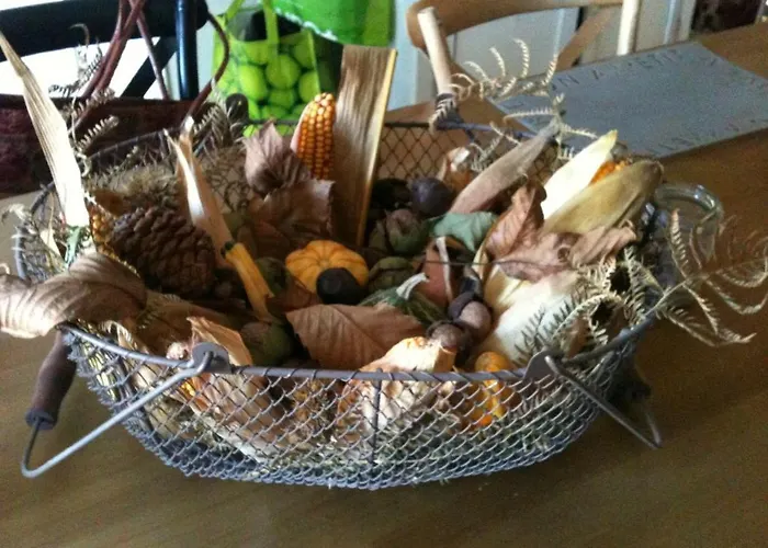 Bed & Breakfast La Tulipe Perigourdine