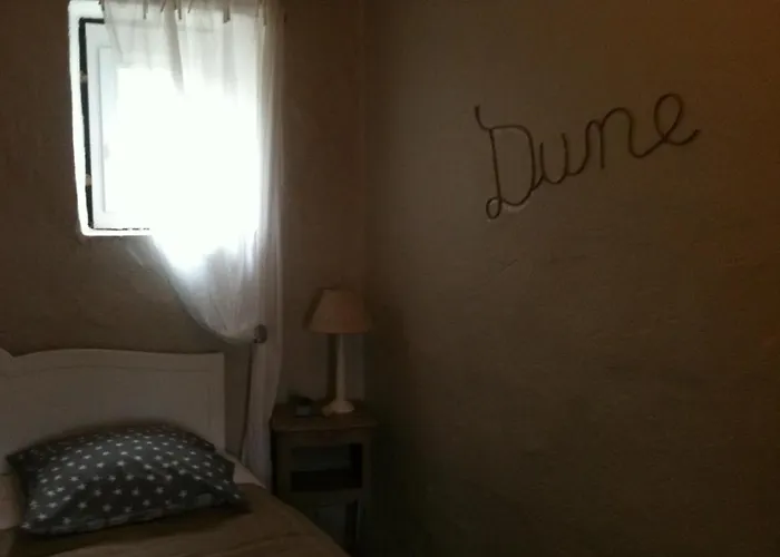 La Tulipe Perigourdine