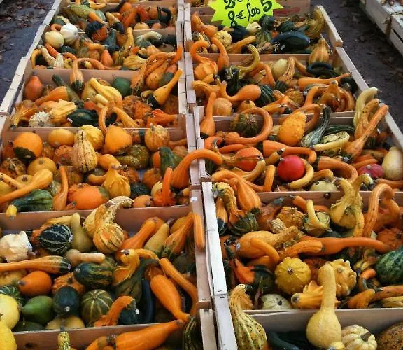 Panzió La Tulipe Perigourdine *