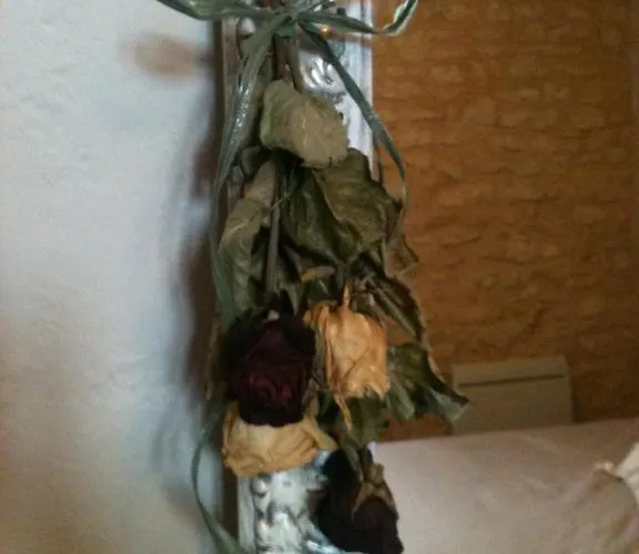 La Tulipe Perigourdine * Le Buisson de Cadouin